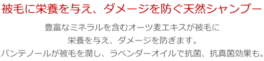 bloopオーツ「被毛に栄養被毛に栄養を与え、ダメージを防ぐ天然シャンプー」