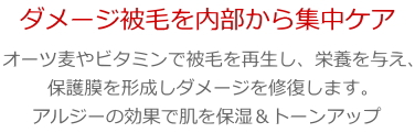 bloopリカバリーコートマスク「ダメージ被毛を内部から集中ケア」