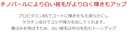 ブループホワイトシャンプー